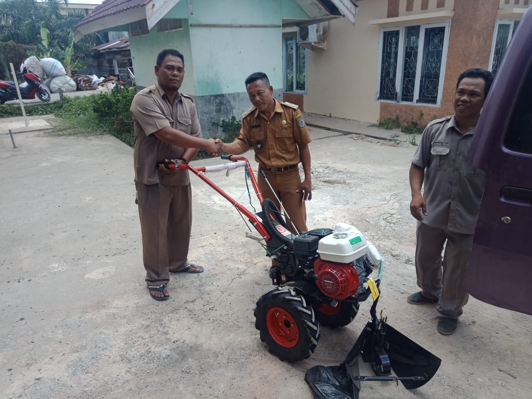 Kegiatan Hortikultura Dinas Tanaman Pangan Dan Hortikultura Kabupaten Paser