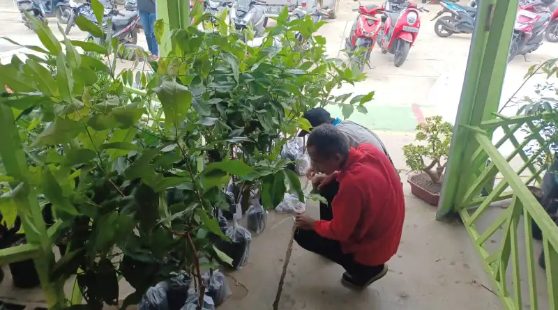 Enam Produsen Paser Penuhi Kebutuhan Benih Hortikultura hingga Luar Daerah