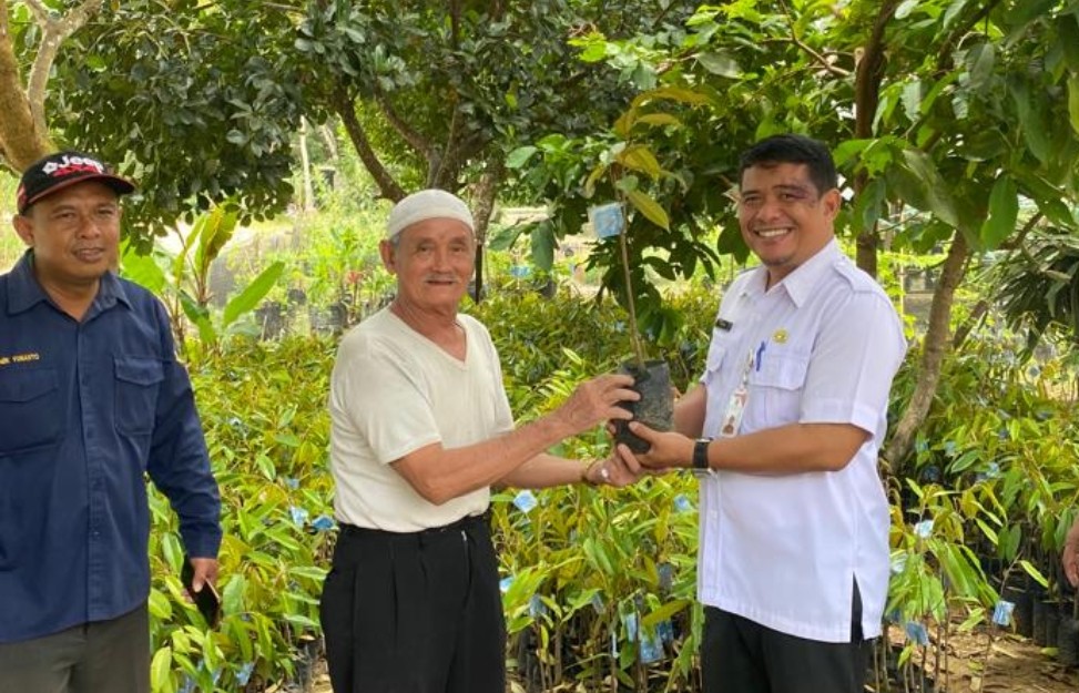 DTPH Paser Kembangkan Durian Varietas Musangking dan Gelapir di KEcamatan Long Kali