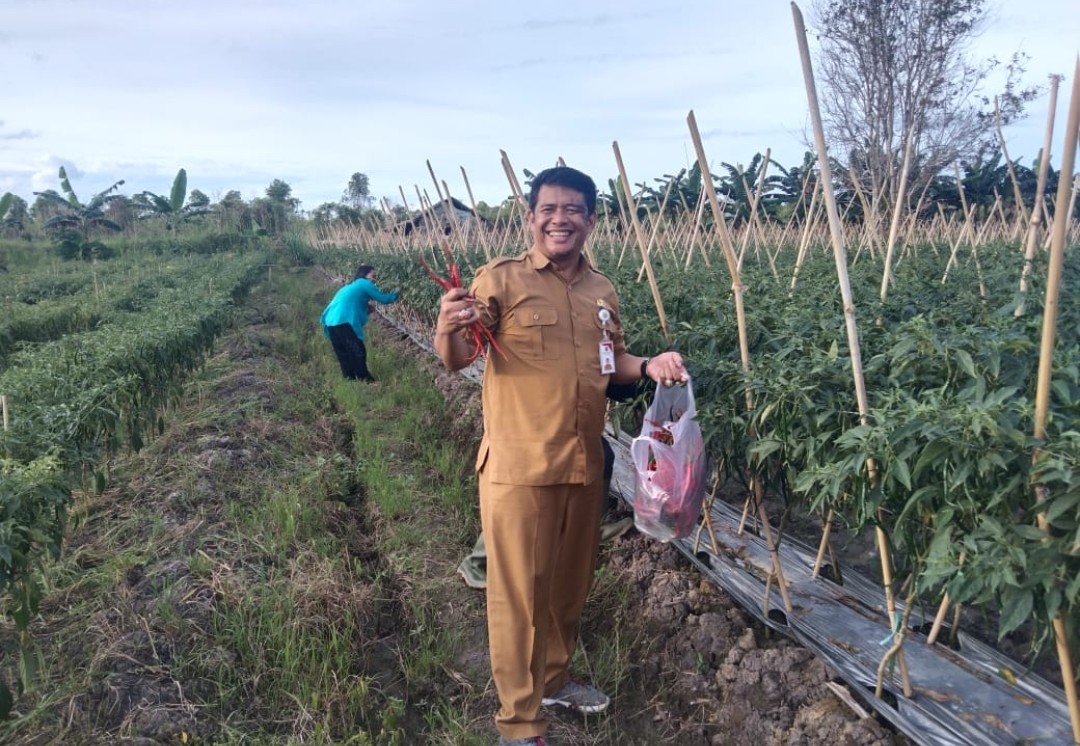 DTPH Paser Siapkan Lahan 700 Hektar untuk Pengembangan Hortikultura